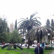  -,   , 50 ,   ,   , c 