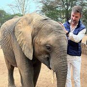 ���������� ���������, ���� ������� ������, 40 ���, ������������ ��� ������, ����� � ���������, c�������� ���������, ���������