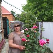  ,   , 65 ,   ,   , c 