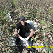 ���������� ���������, ���� ������� ������, 41 ���, ������������ ��� ������, ����� � ���������, c�������� ���������