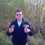 ���������� �������, ���� ������� ����, 38 ���, ������������ ��� ������, ����� � ���������, c�������� ���������