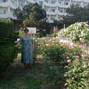 ���������� �������, ���� ������� ����, 56 ���, ������������ ��� c�������� ���������