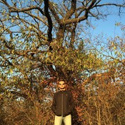 ���������� �������, ���� ������� �����, 35 ���, ������������ ��� ������, ����� � ���������, c�������� ���������