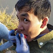 ���������� �����-���������, ���� ������� Semmy, 33 ����, ������������ ��� ������, ����� � ���������