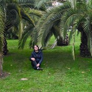 ���������� �����, ���� ������� �����, 31 ���, ������������ ��� ����� � ���������, c�������� ���������, ���������