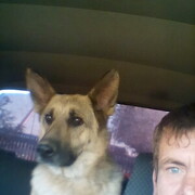 ���������� ���������, ���� ������� ��������, 48 ���, ������������ ��� ������, ����� � ���������, c�������� ���������