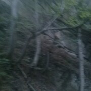  ,   , 36 ,   ,   , c 