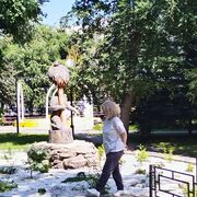 ���������� ��������, ���� ������� �����, 55 ���, ������������ ��� ����� � ���������, c�������� ���������, ���������