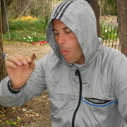 ���������� ������, ���� ������� �����, 45 ���, ������������ ��� ������, ����� � ���������, ���������