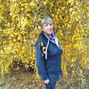  ,   , 67 ,   ,   