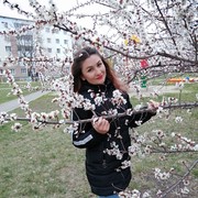   ,   , 40 ,     , c 