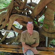 ���������� ������, ���� ������� �����, 70 ���, ������������ ��� ������, ����� � ���������