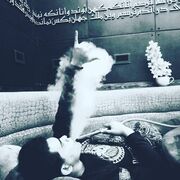 ���������� �������, ���� ������� Operator, 34 ����, ������������ ��� ������, ����� � ���������, c�������� ���������