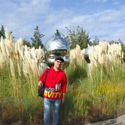 ���������� ������, ���� ������� ���, 35 ���, ������������ ��� ������, ����� � ���������