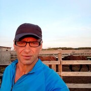 ���������� ������������, ���� ������� ������, 50 ���, ������������ ��� ������, ����� � ���������