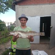 ���������� ��������, ���� ������� Dima, 38 ���, ������������ ��� ������, ����� � ���������