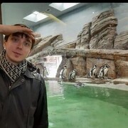 ���������� ����, ���� ������� ����, 29 ���, ������������ ��� ������, ����� � ���������