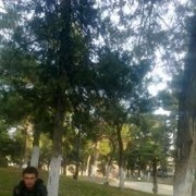 ���������� �������, ���� ������� Vaso, 37 ���, ������������ ��� ������