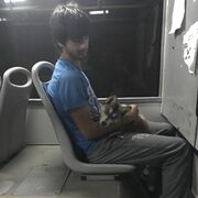 ���������� �����������, ���� ������� ���������, 29 ���, ������������ ��� ������, ����� � ���������, c�������� ���������, ���������