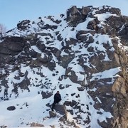 ���������� ���������, ���� ������� ������, 40 ���, ������������ ��� ������, ����� � ���������, c�������� ���������