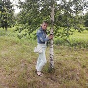 ���������� ����������, ���� ������� ���������, 37 ���, ������������ ��� ������, ����� � ���������, c�������� ���������