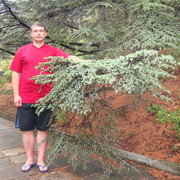 ���������� ����, ���� ������� ��������, 49 ���, ������������ ��� ������, ����� � ���������, c�������� ���������