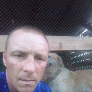 ���������� ����������, ���� ������� �����, 40 ���, ������������ ��� ������, ����� � ���������