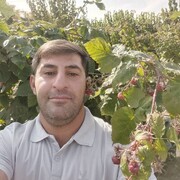  ,   Ghasem, 38 ,   ,   