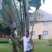 ���������� �����, ���� ������� ����, 49 ���, ������������ ��� ������