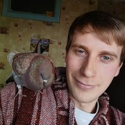 ���������� ����������, ���� ������� �������, 27 ���, ������������ ��� ����� � ���������, c�������� ���������