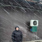 ���������� ����-���������, ���� ������� Kadir, 40 ���, ������������ ��� ������, ����� � ���������