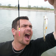 ���������� �����������, ���� ������� �����, 39 ���, ������������ ��� ����� � ���������, c�������� ���������