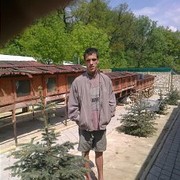  ,  viktor, 31