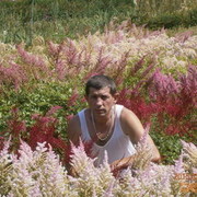 ���������� �������, ���� ������� Anzei, 50 ���, ������������ ��� ������