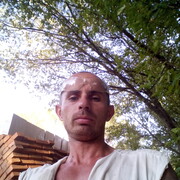  ,   , 41 ,  