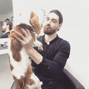 ���������� �����-���������, ���� ������� ������, 36 ���, ������������ ��� ������, ����� � ���������