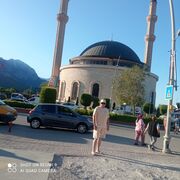  ,   , 54 ,   ,   , c 