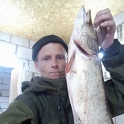   ,   , 44 ,   ,   , c , 