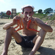  ,   , 41 ,   