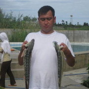 ���������� �������, ���� ������� Faruh, 49 ���, ������������ 