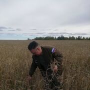 ���������� �������, ���� ������� ����, 42 ����, ������������ ��� ������, ����� � ���������