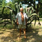 ���������� �����������, ���� ������� �������, 70 ���, ������������ ��� c�������� ���������