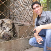  ,  Arslan, 37