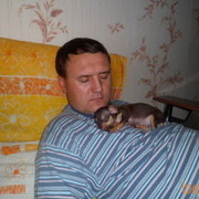 ���������� ������, ���� ������� ������, 49 ���, ������������ ��� ������