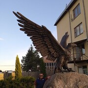 ���������� �����, ���� ������� ��������, 53 ����, ������������ ��� ������, ����� � ���������