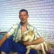  ,   , 53 ,   
