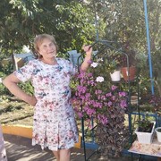 ���������� �������, ���� ������� �����, 66 ���, ������������ ��� ����� � ���������, c�������� ���������, ���������