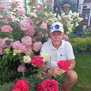 ���������� ������ ��������, ���� ������� �����, 67 ���, ������������ ��� ������, ����� � ���������