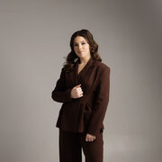 ���������� ������, ���������