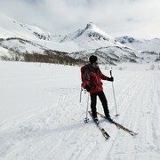 ���������� �������������-����������, ���� ������� �������, 48 ���, ������������ ��� ����� � ���������, c�������� ���������